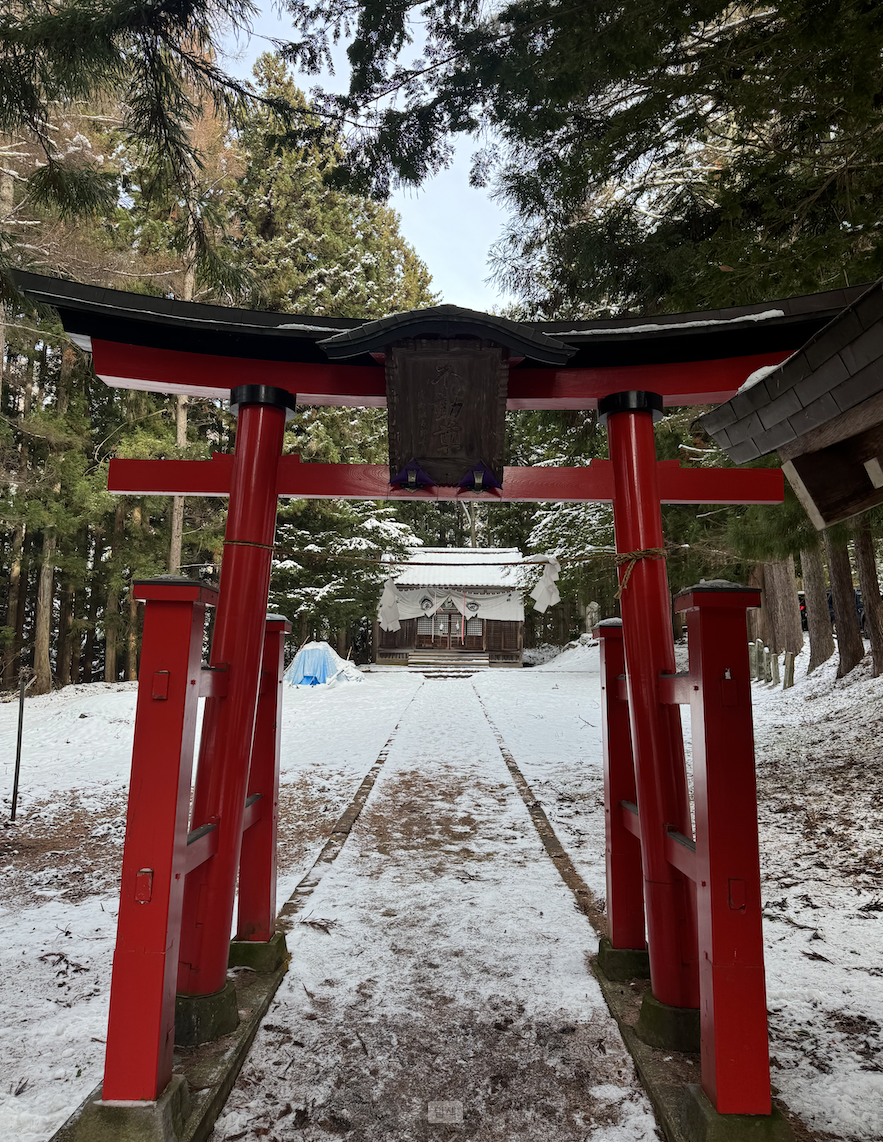 CleanShot_2025-02-24_22.46.17