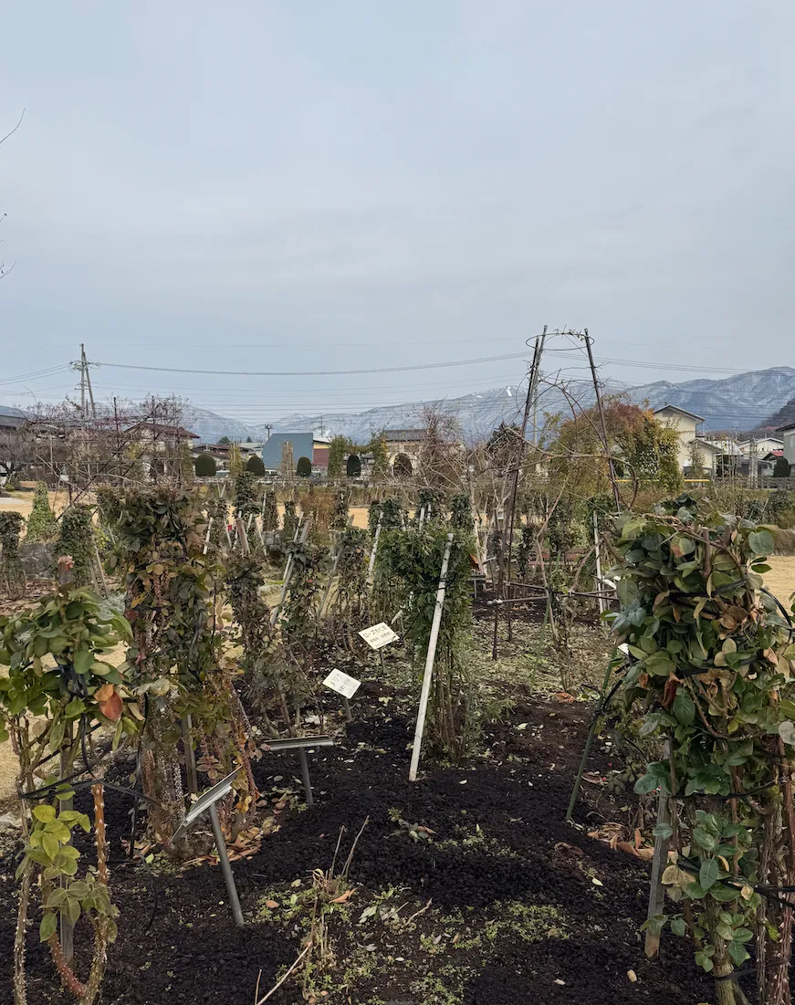 CleanShot_2025-02-24_23.31.34