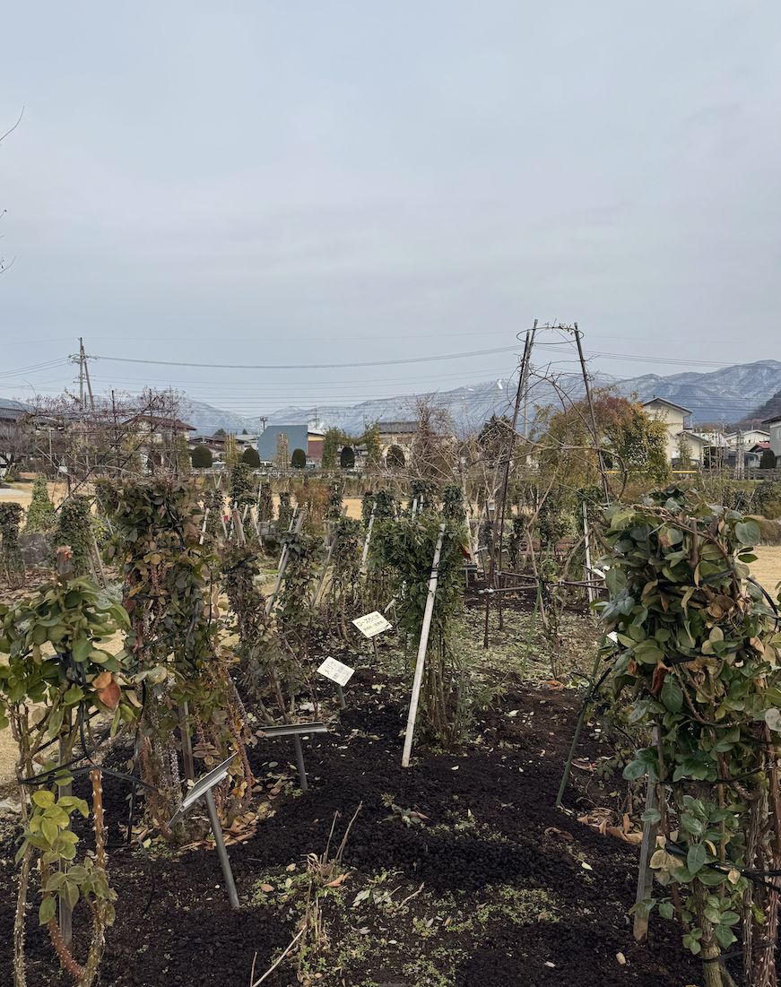 CleanShot_2025-02-24_23.31.34