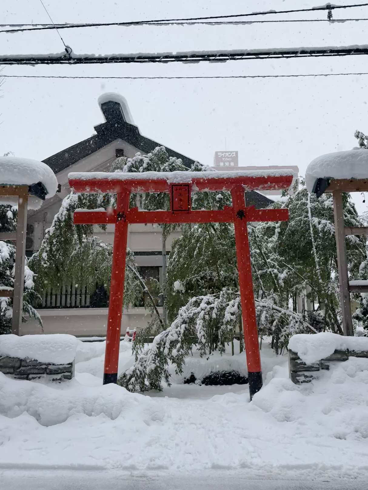 아침의 우토우 신사