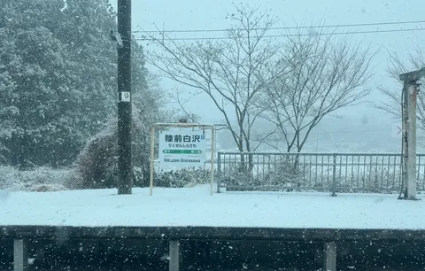 차창 밖 눈 풍경