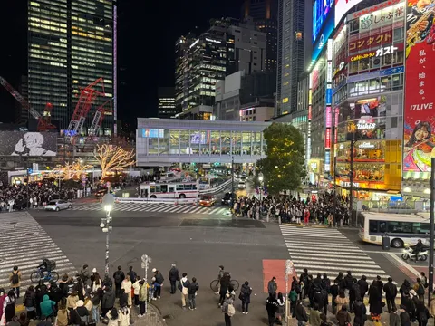 시부야 스크럼블 교차로 야경