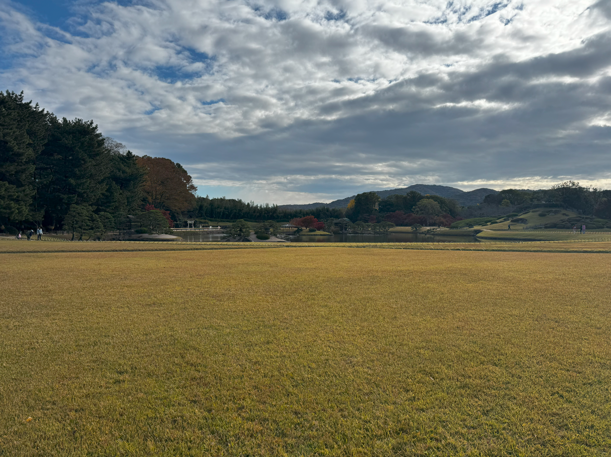 image-20250104034019857