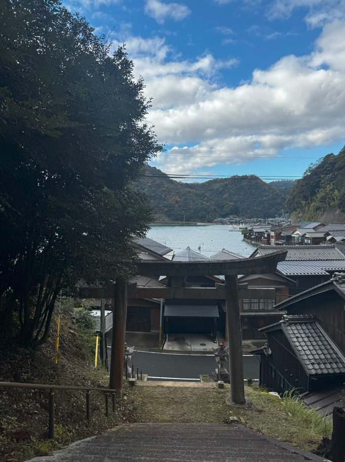 image-20250105225957123