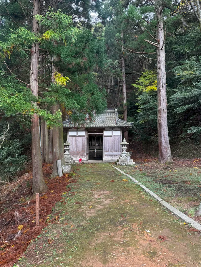 image-20250105230012889