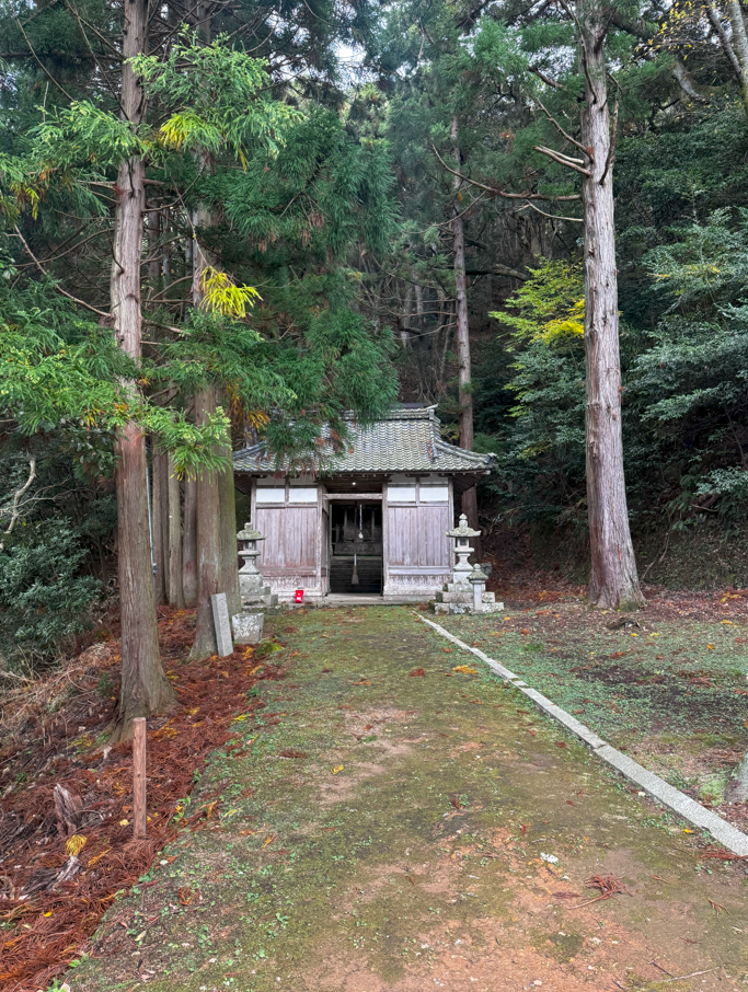 image-20250105230012889