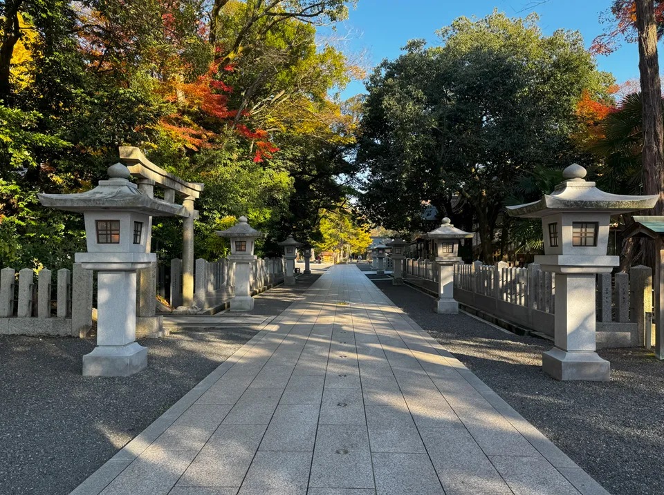image-20250107030755894