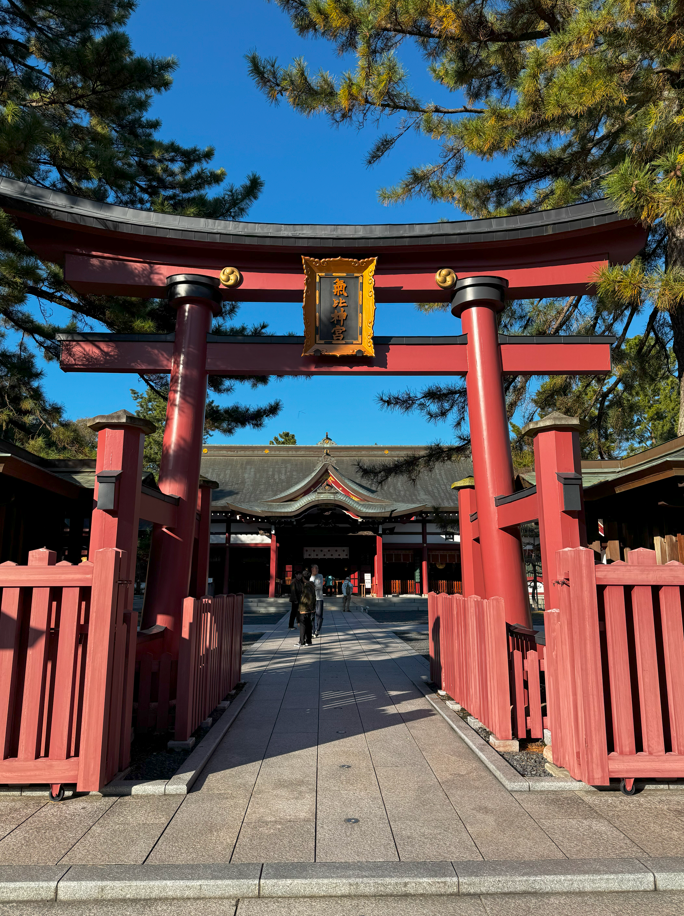 image-20250107030841562