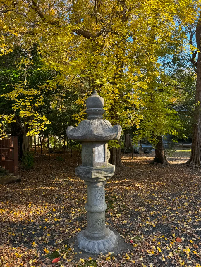 image-20250107030858782