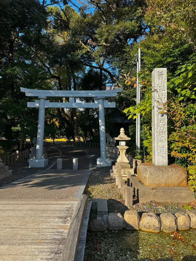 image-20250107031236068