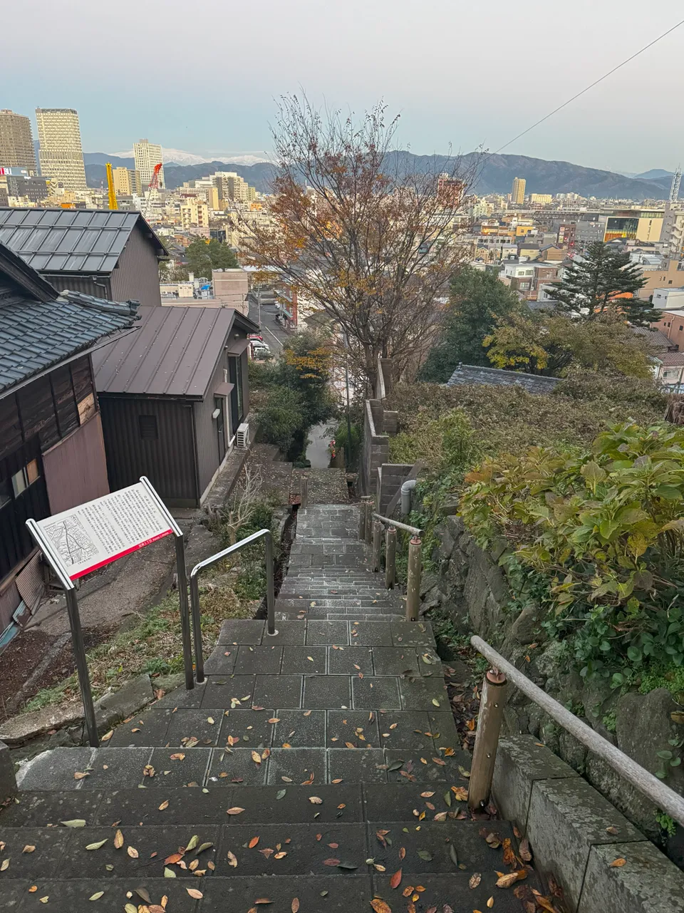 image-20250107034510176