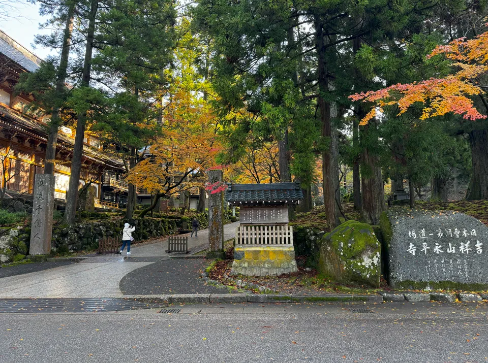 image-20250108020557939