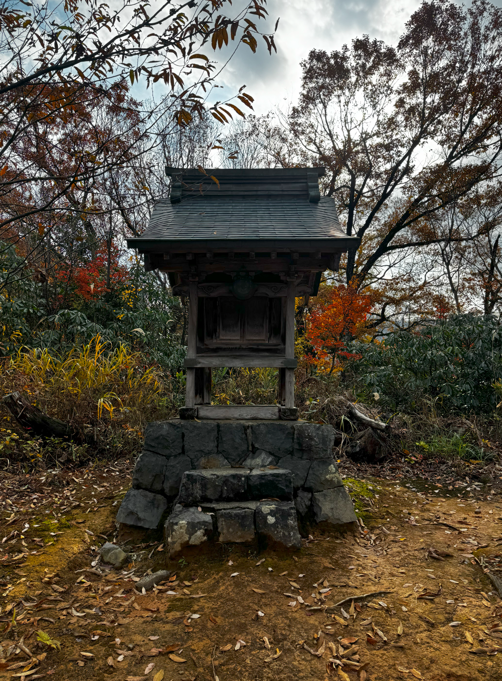 image-20250108022849586
