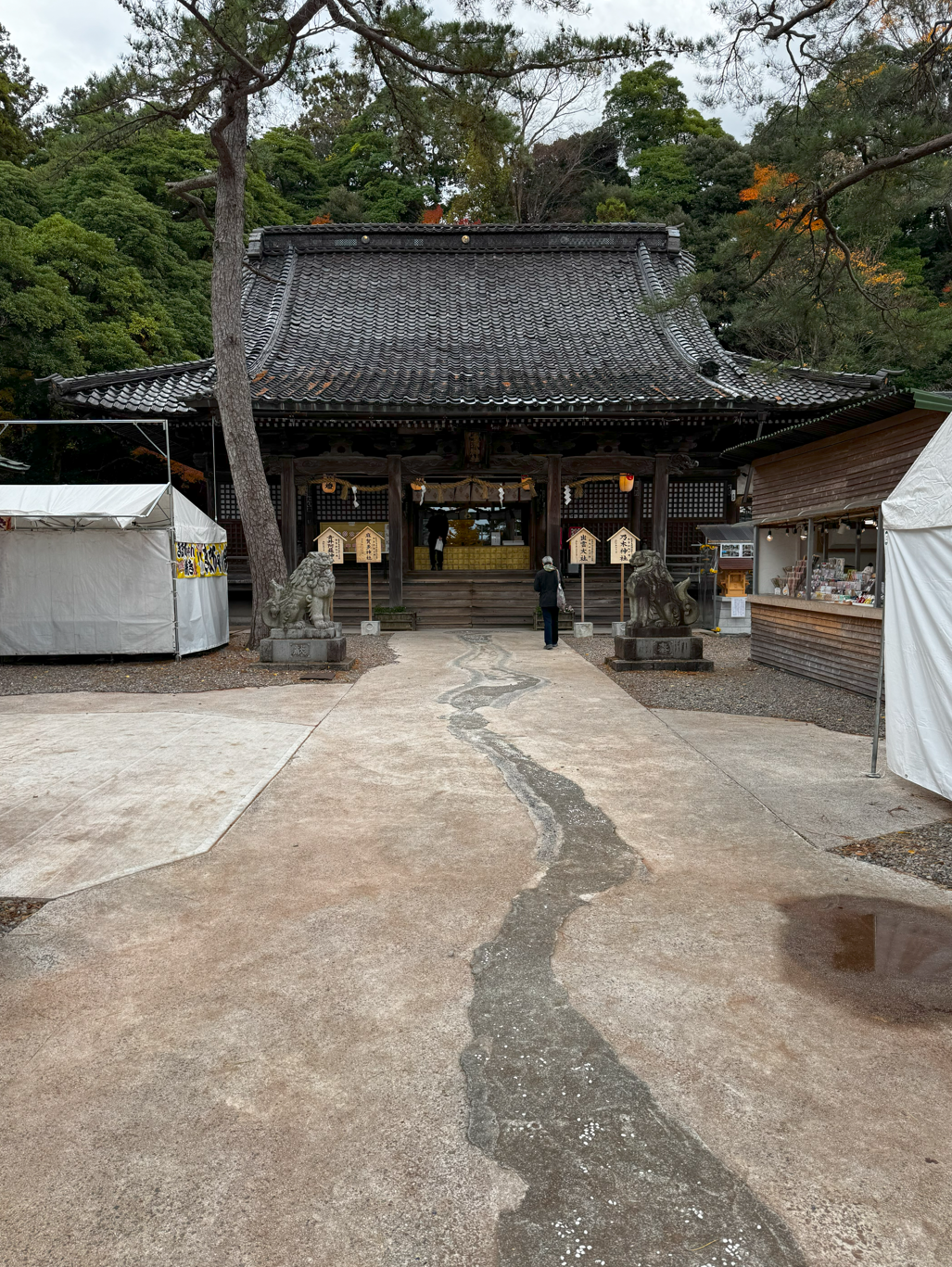 image-20250109013839946