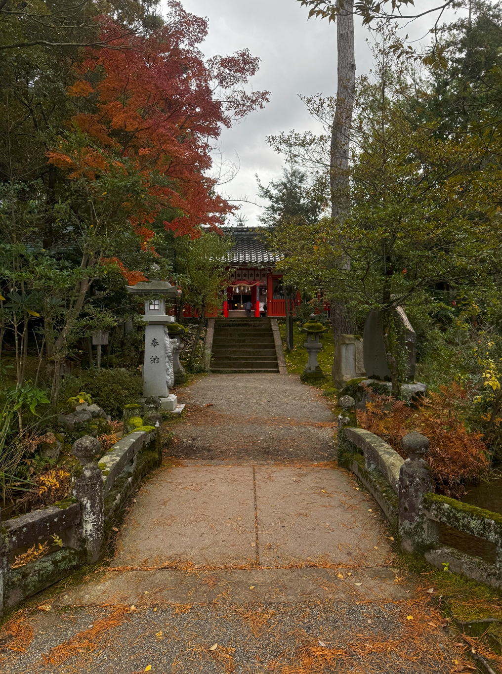 image-20250109014609431