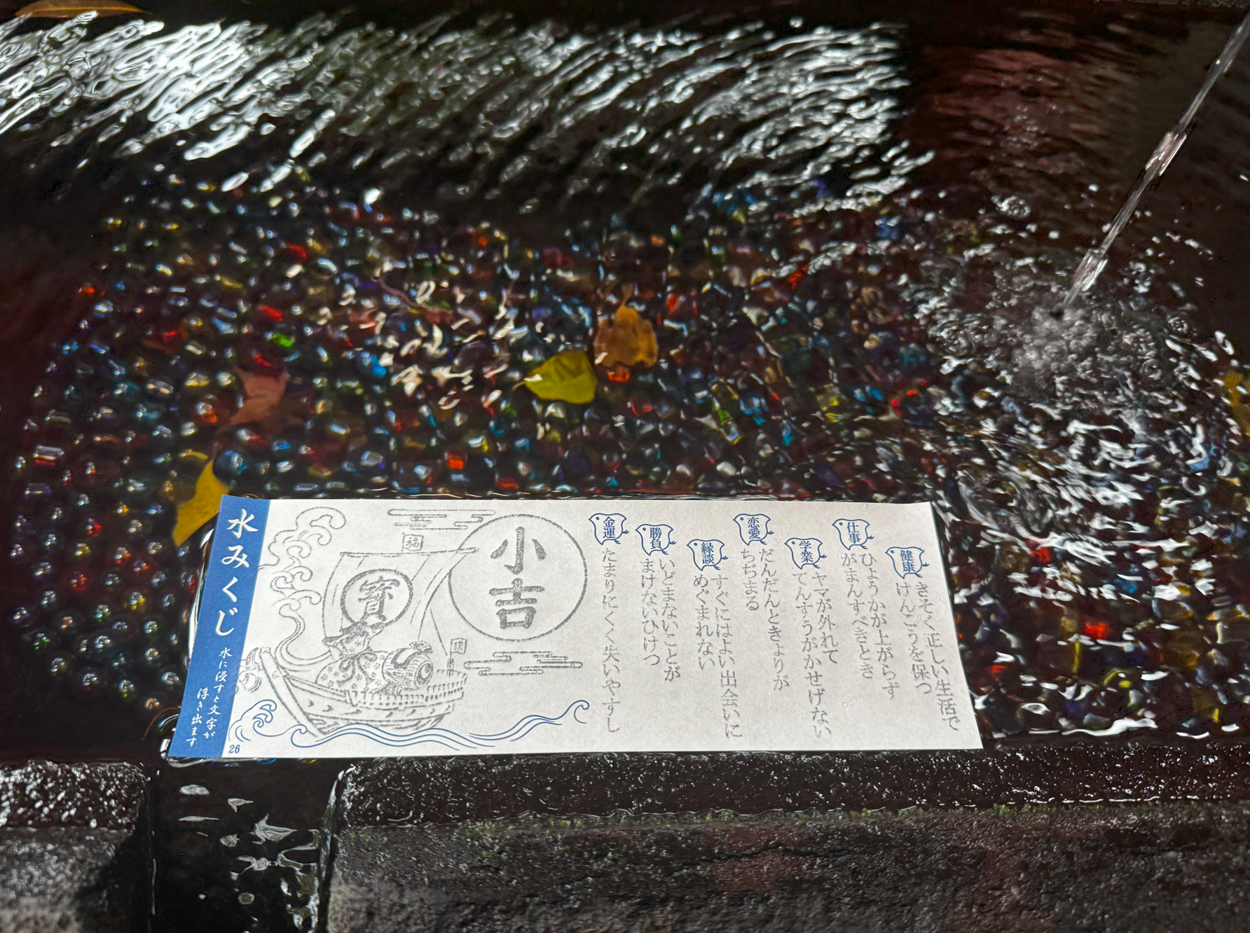 image-20250109014823543