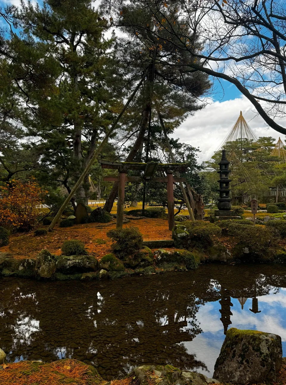 image-20250109015505652