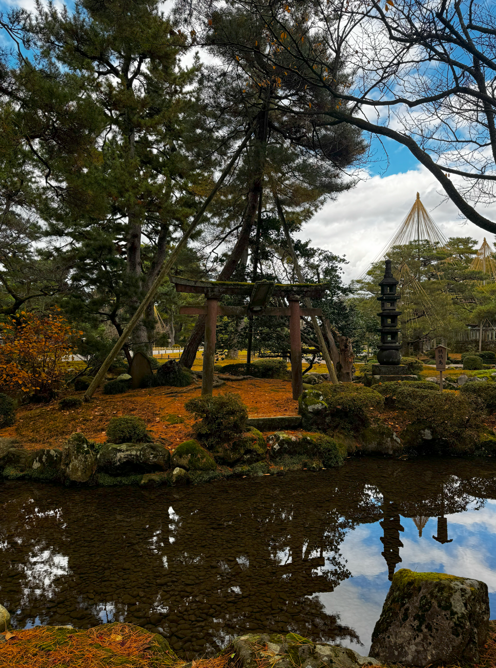 image-20250109015505652