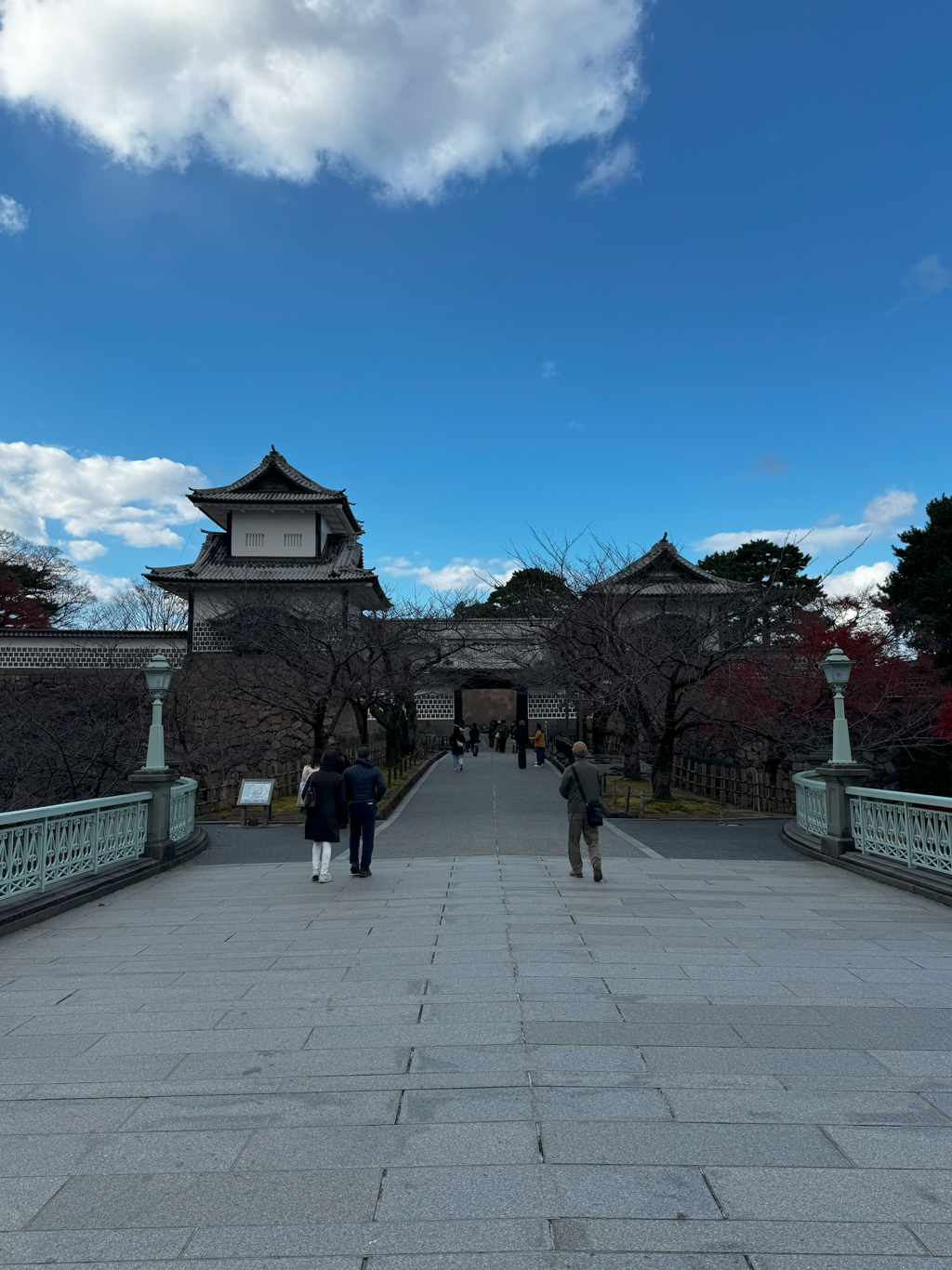 image-20250109015946591