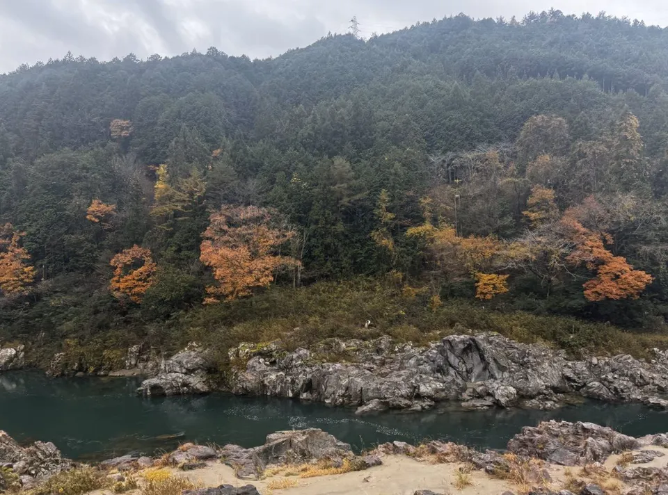 image-20250113050105175