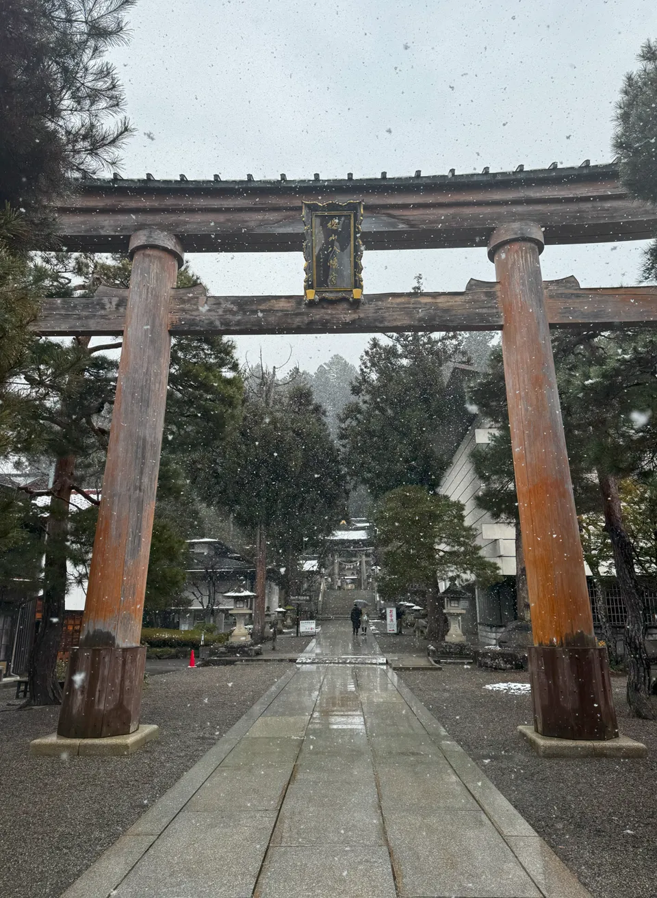image-20250113052731952