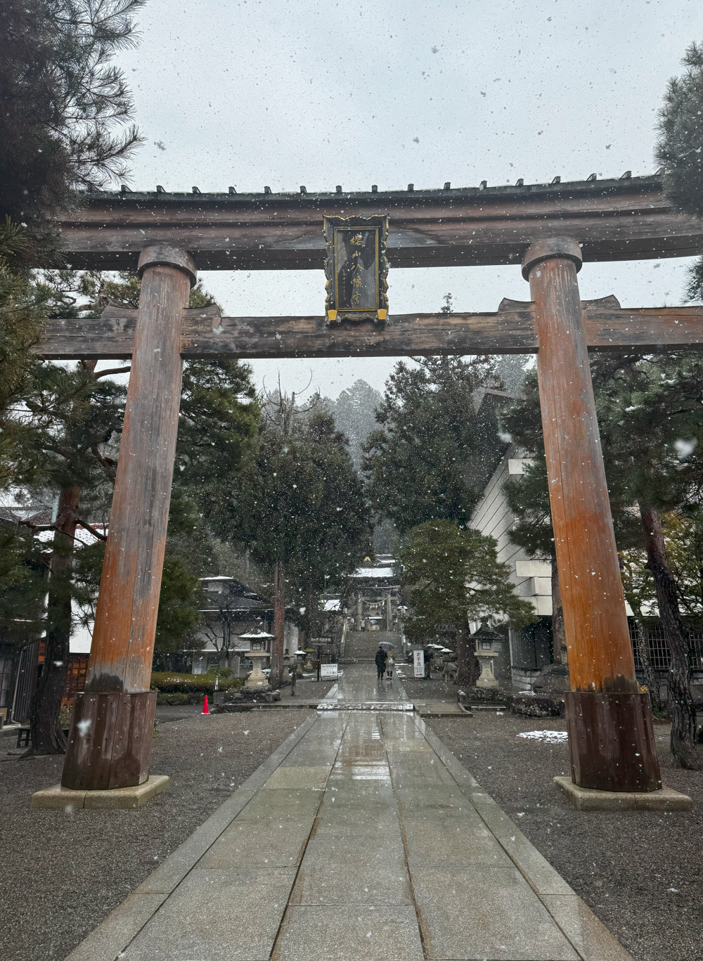 image-20250113052731952