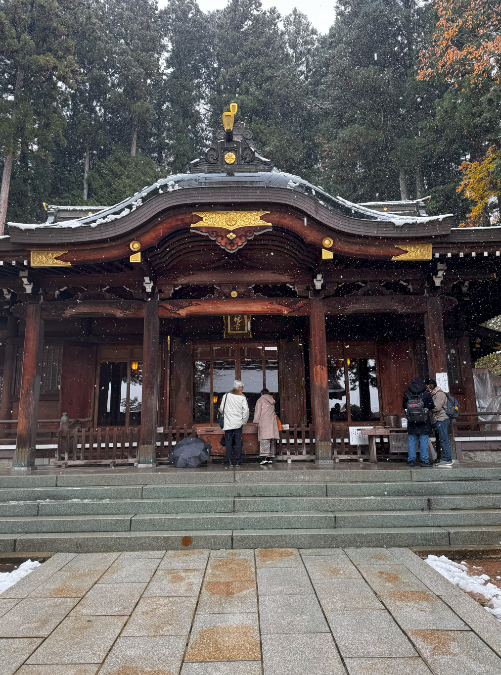 image-20250113052916295