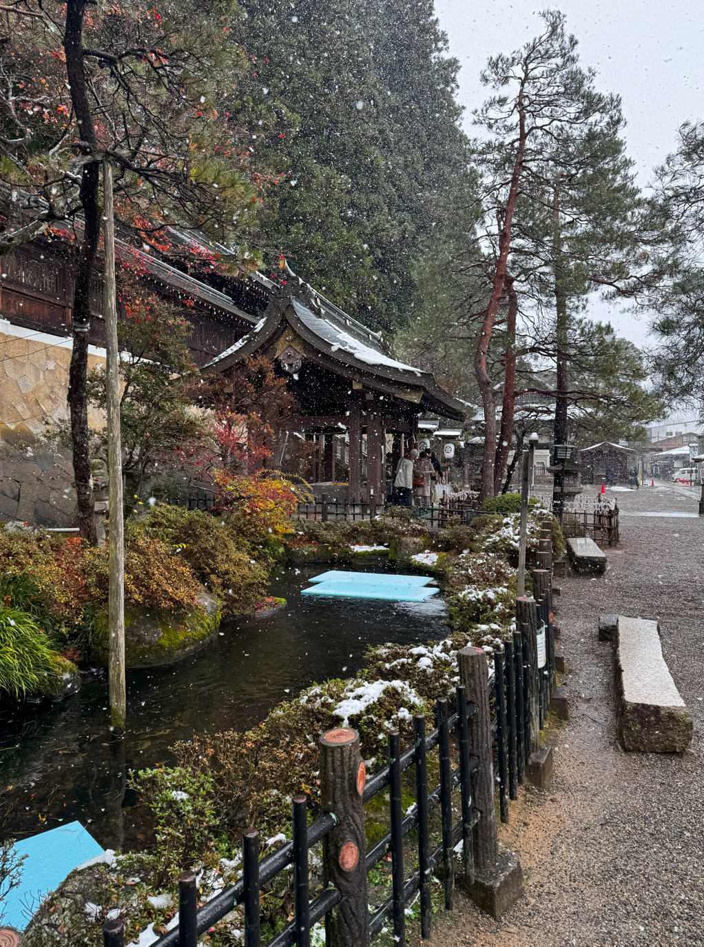 image-20250113053547494