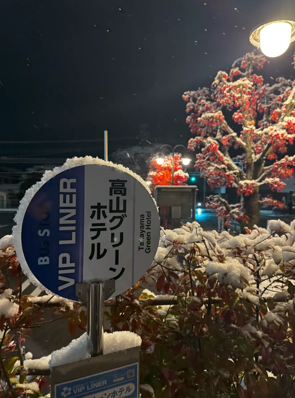 image-20250113063528948