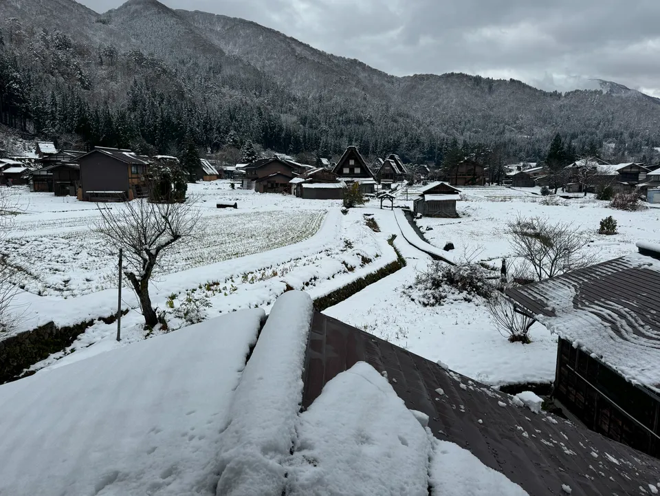 image-20250114032854130