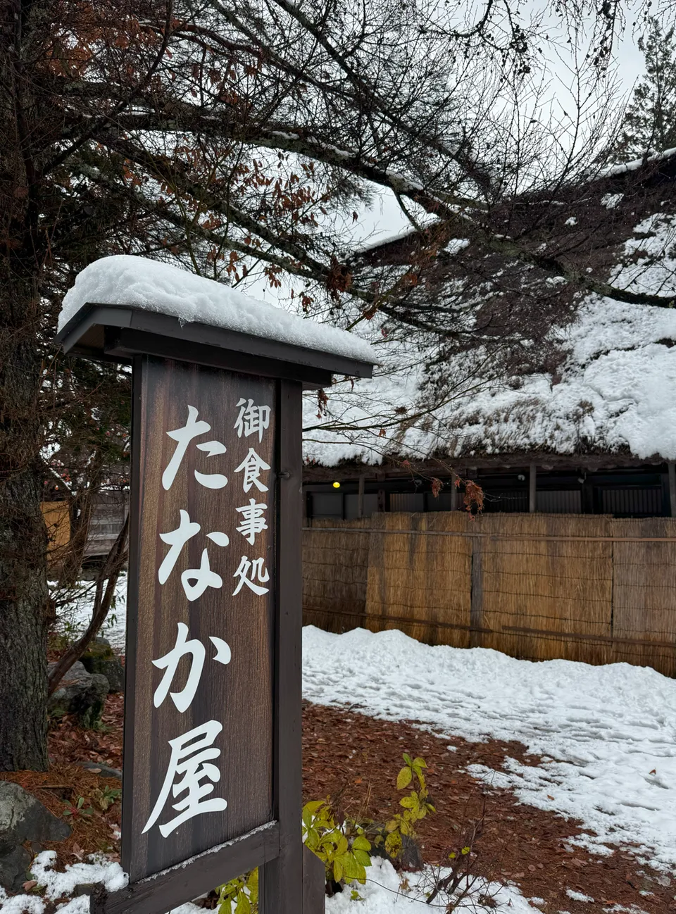 image-20250114033827120