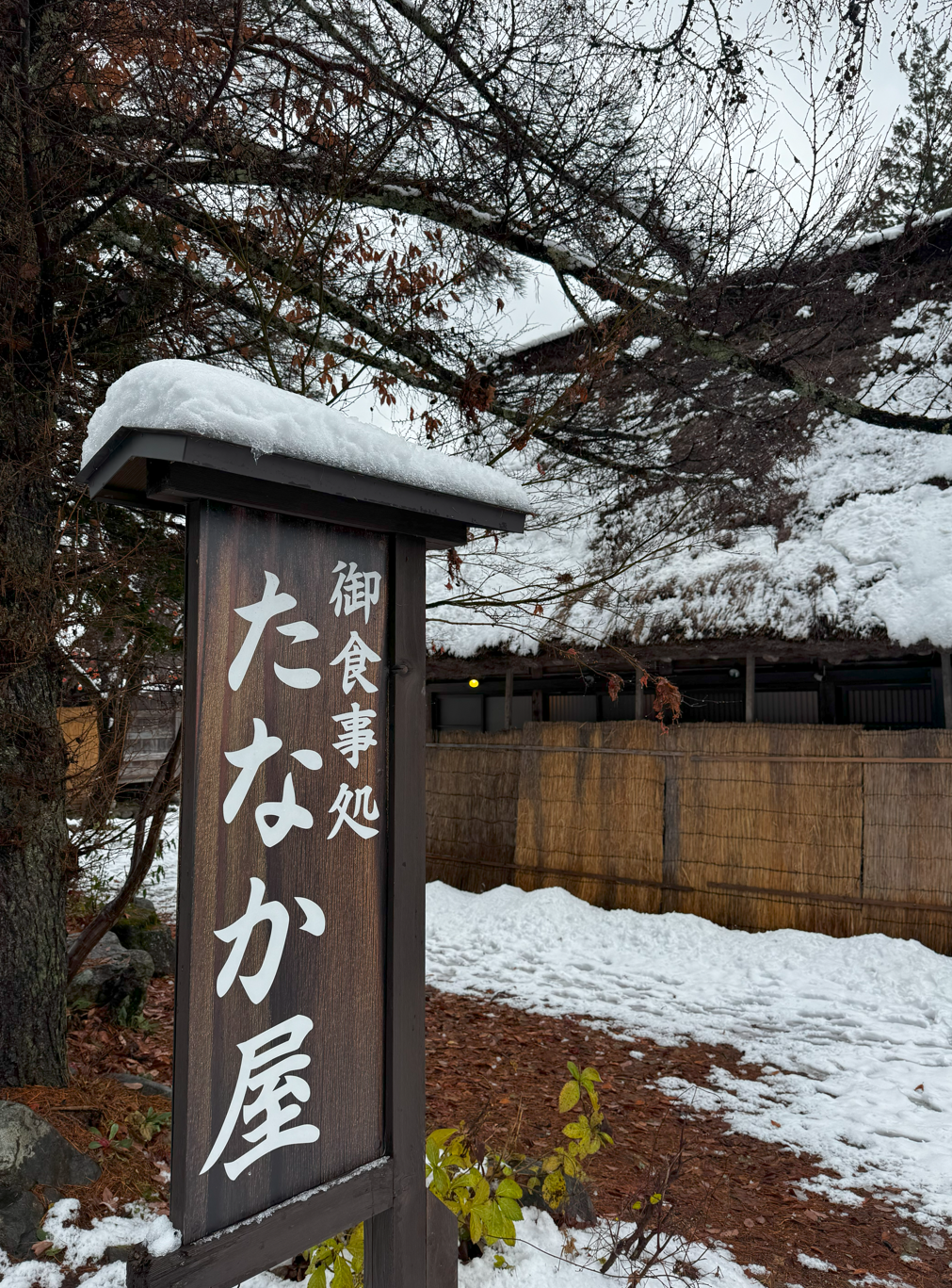 image-20250114033827120