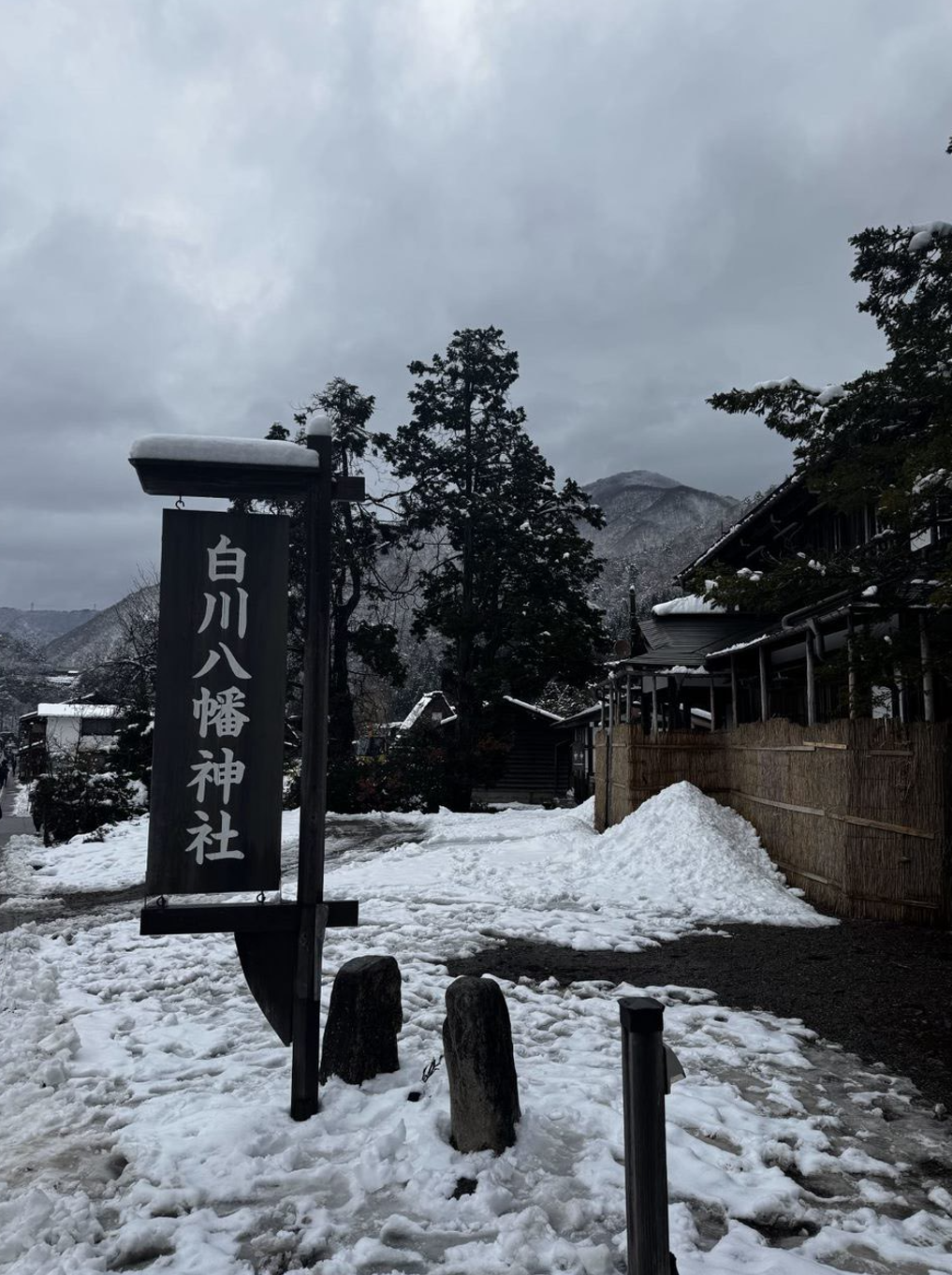 image-20250114035149486