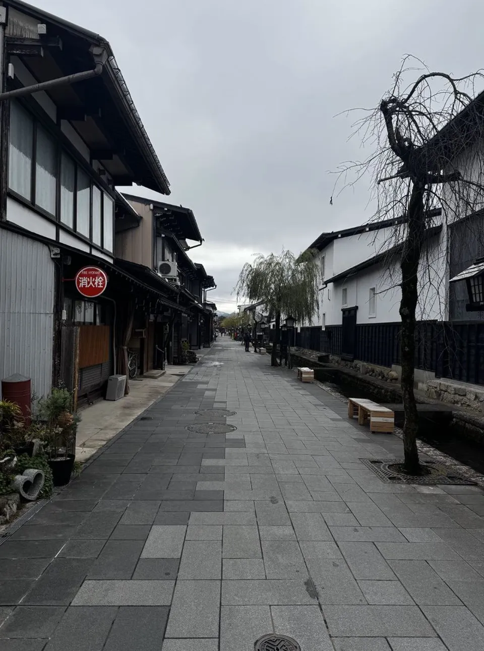 image-20250115052759433