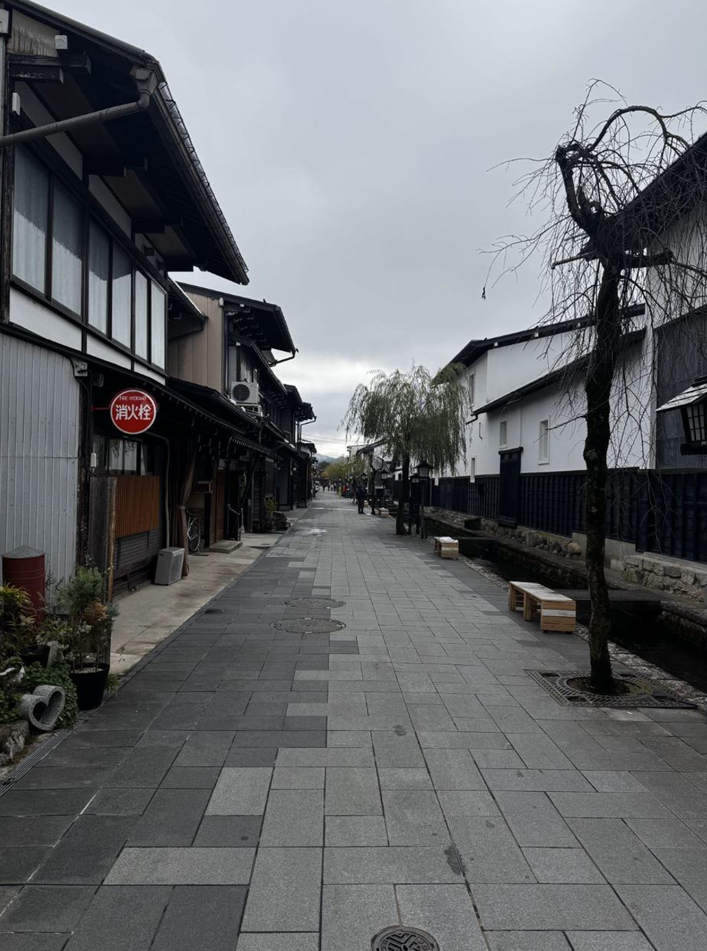 image-20250115052759433