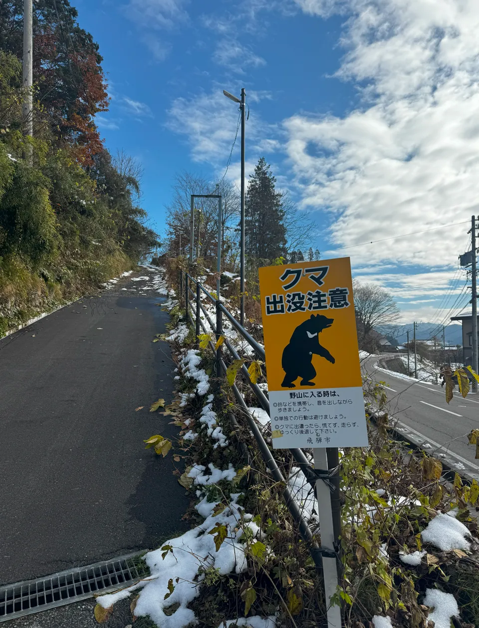 image-20250115060144336