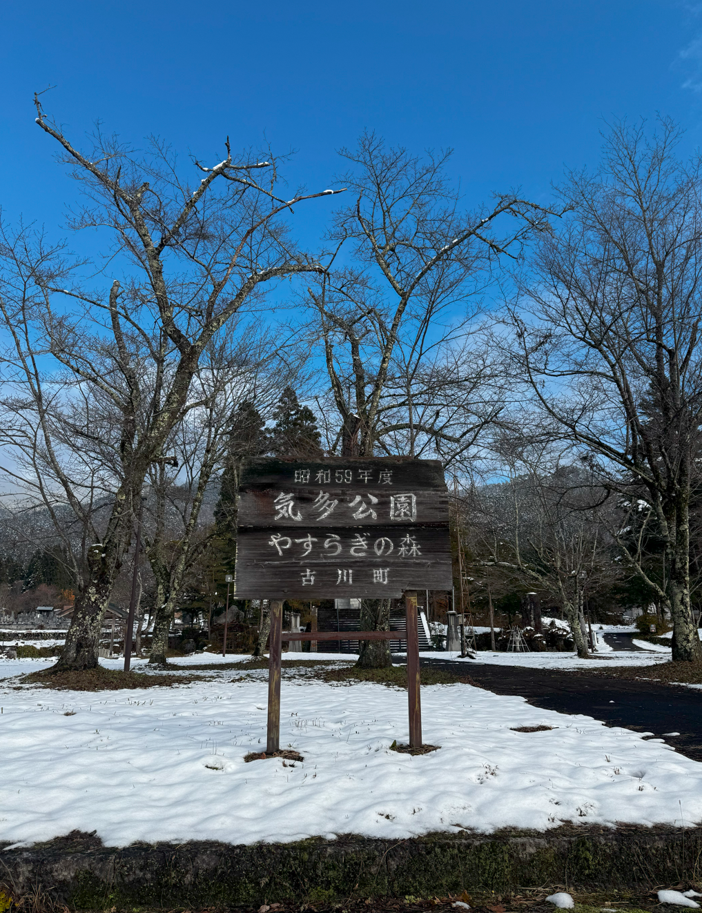 image-20250115060239624