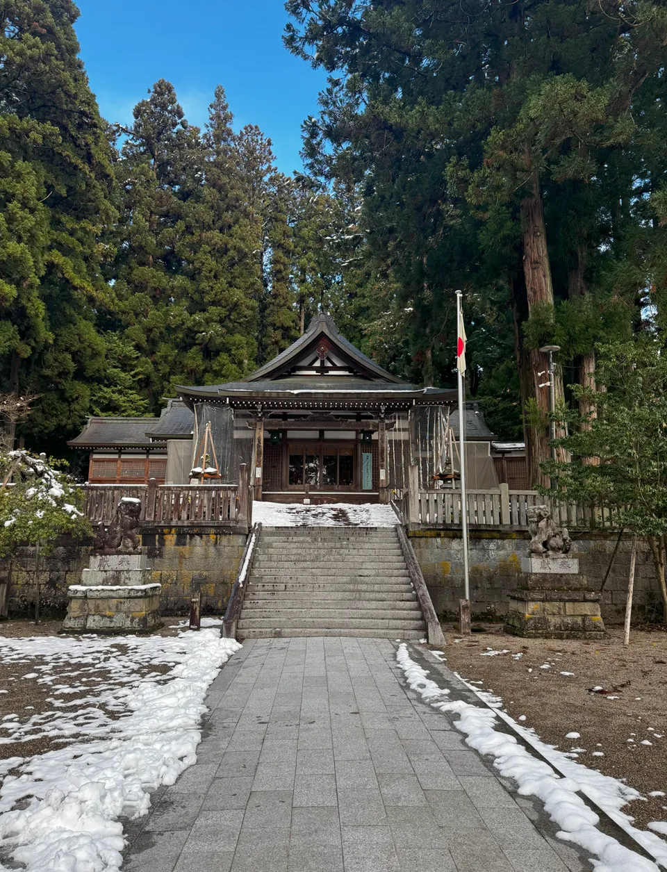 image-20250115060516664
