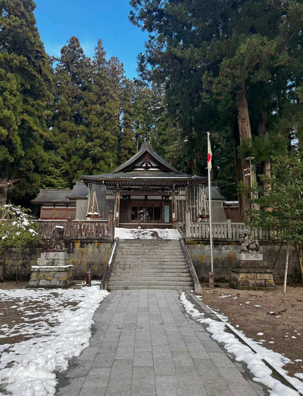 image-20250115060516664