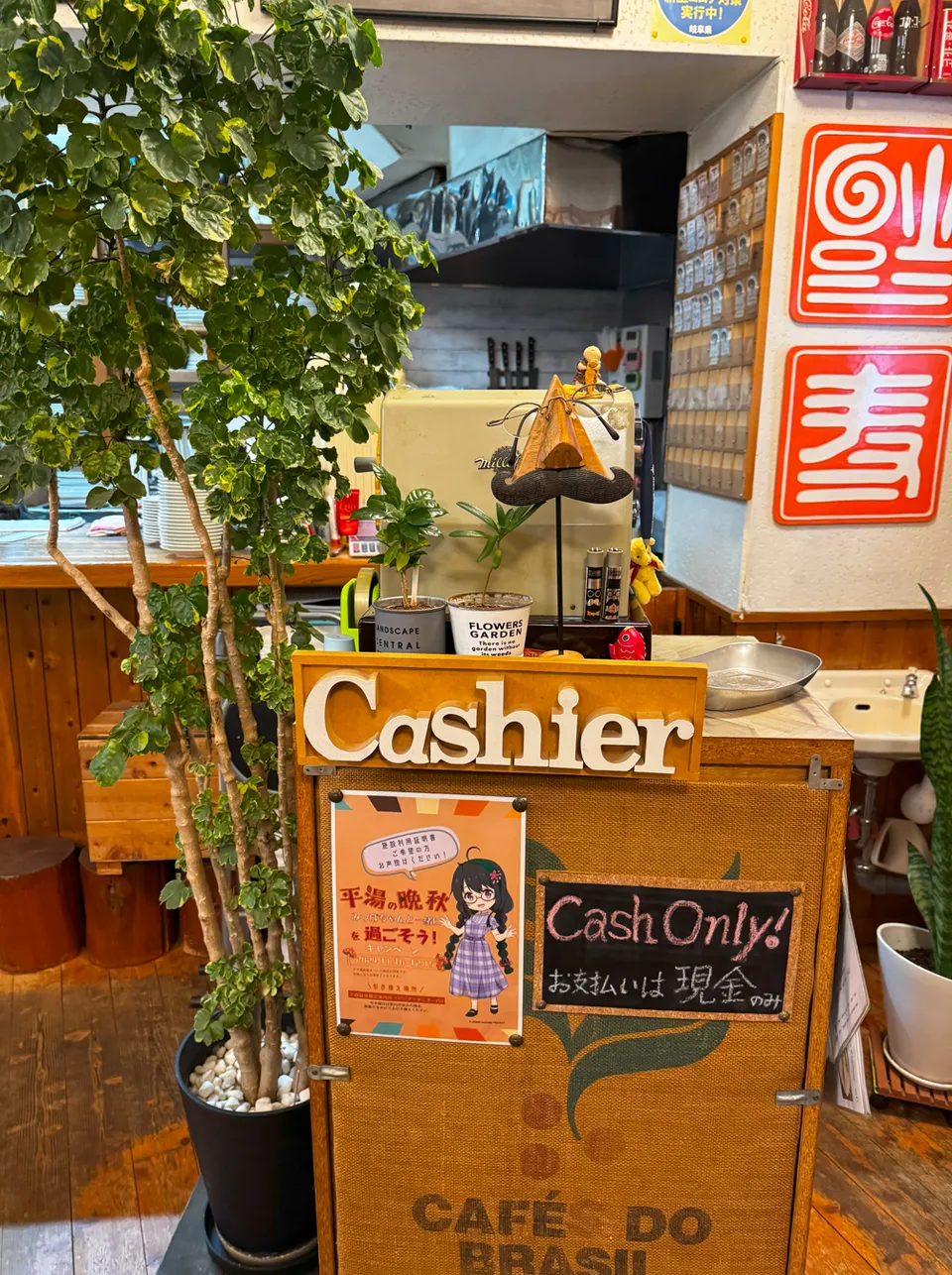 image-20250115064903276