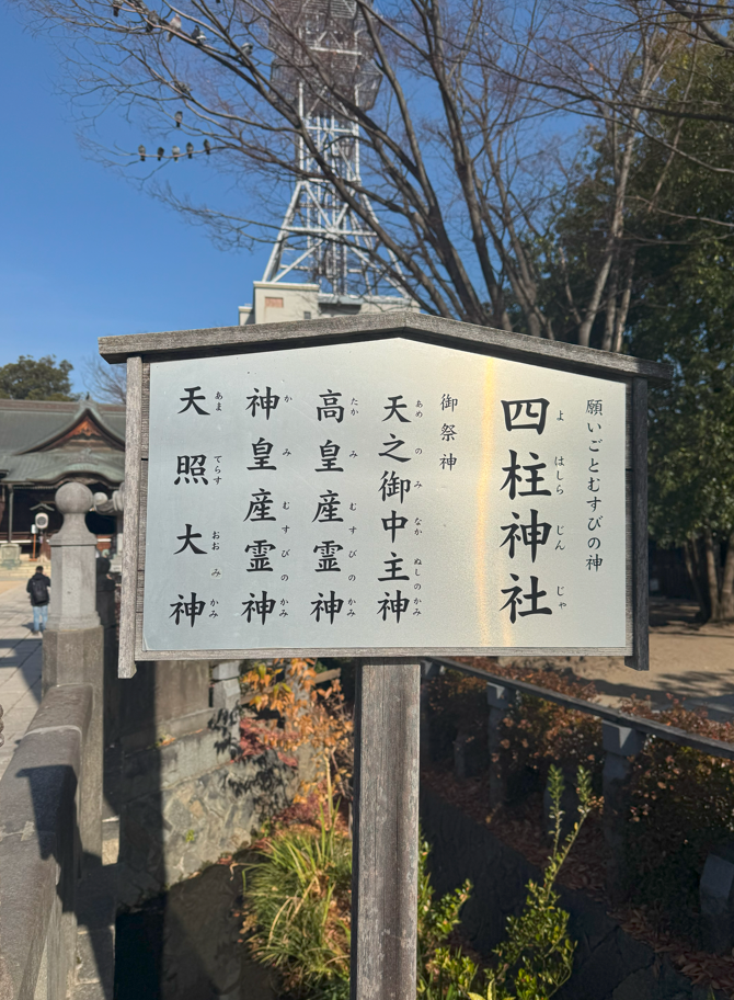 image-20250221183958569