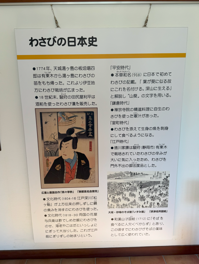 image-20250222223649816