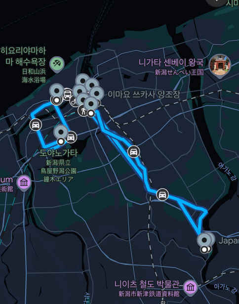 image-20250301031942669