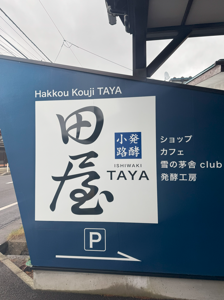 image-20250303171737271