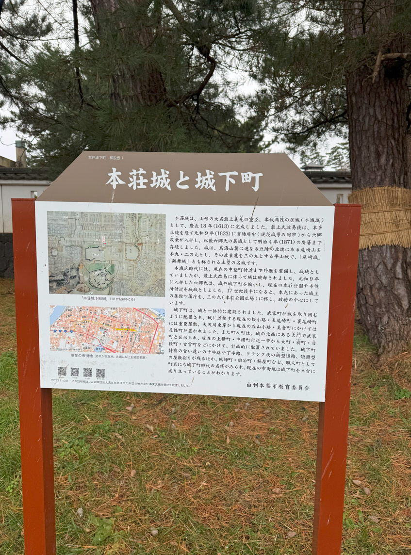 image-20250303172626784