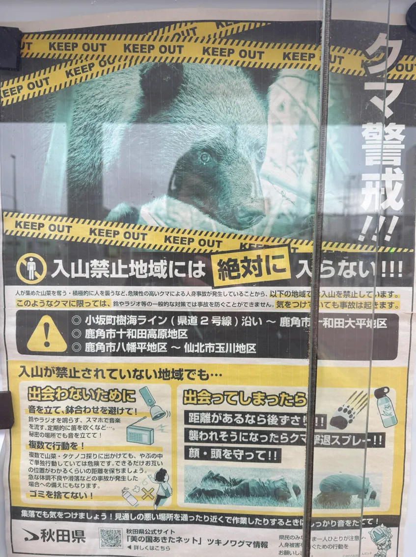 image-20250303172849996