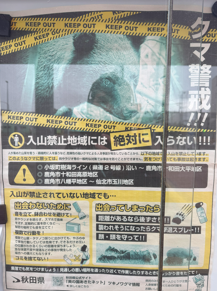 image-20250303172849996