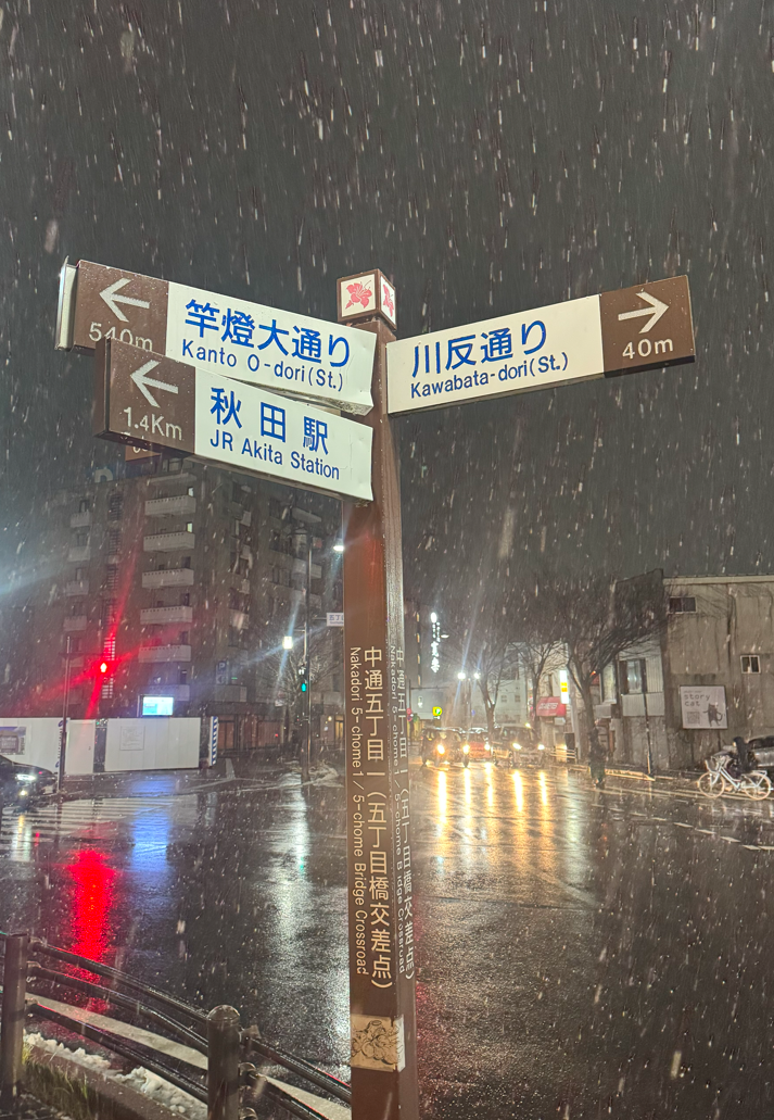 image-20250303173122721