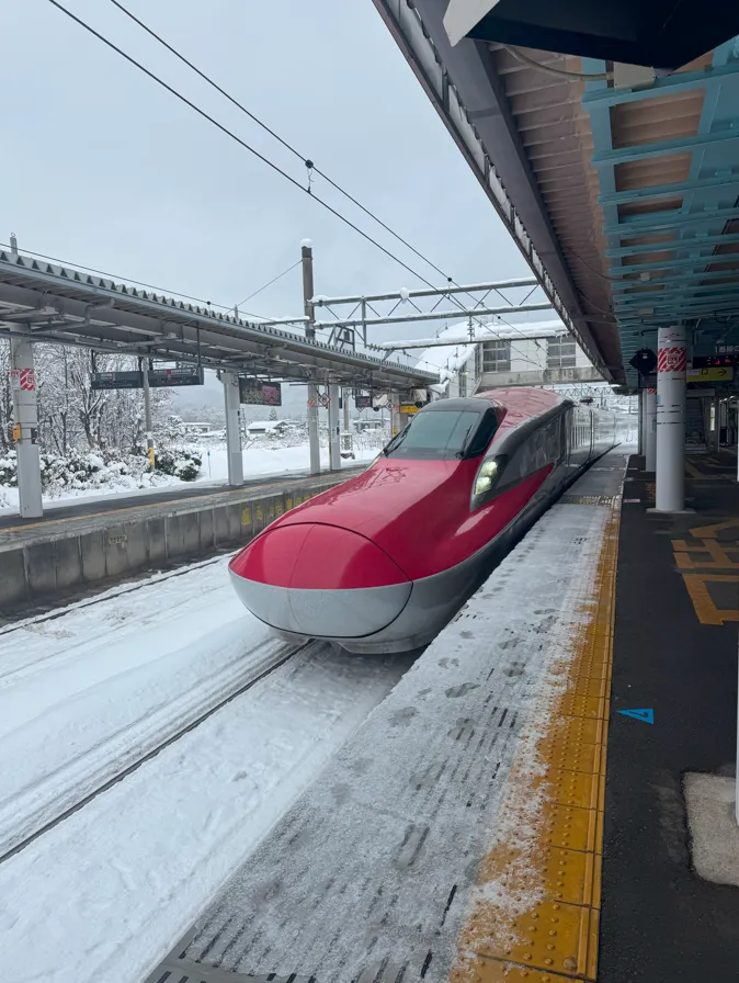image-20250304195135771