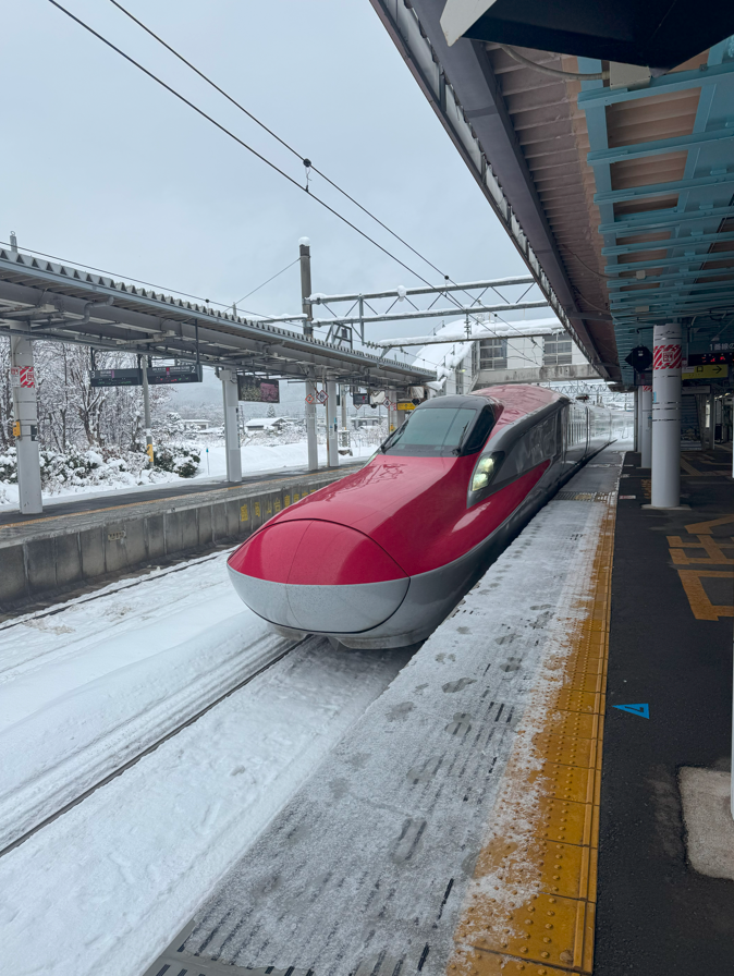 image-20250304195135771